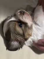 processed/e700e417-4617-4857-9292-727b02f92aa7/listing/057d0fd1-75d9-49d8-bd5a-dc7cfa62d0e4/7fb0ee0f-4754-46c1-902d-2bd6368d8fb5