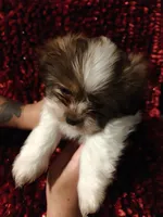 processed/e700e417-4617-4857-9292-727b02f92aa7/listing/057d0fd1-75d9-49d8-bd5a-dc7cfa62d0e4/b6593e08-cd5b-4ad1-b3e6-8aba231f89bb