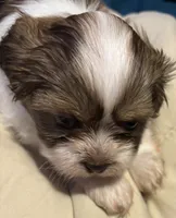 processed/e700e417-4617-4857-9292-727b02f92aa7/listing/057d0fd1-75d9-49d8-bd5a-dc7cfa62d0e4/d39aa9bb-04d8-4945-b4aa-8788b6f0c0bb