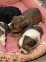 processed/e700e417-4617-4857-9292-727b02f92aa7/listing/057d0fd1-75d9-49d8-bd5a-dc7cfa62d0e4/ddd0b9cc-bcd2-45d3-91c1-185b2a12e000