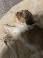 processed/e700e417-4617-4857-9292-727b02f92aa7/listing/8133dfb0-e744-49dd-9648-3c609477282a/1bf1a079-2af0-4718-ae2f-8d5fc2f60d78