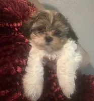 processed/e700e417-4617-4857-9292-727b02f92aa7/listing/8133dfb0-e744-49dd-9648-3c609477282a/21f3dbfd-57f0-457e-8862-0027ea9c6461