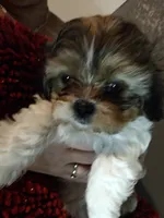 processed/e700e417-4617-4857-9292-727b02f92aa7/listing/8133dfb0-e744-49dd-9648-3c609477282a/313b4b4d-b10c-4013-8d86-c08c96a1c9b7