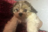 processed/e700e417-4617-4857-9292-727b02f92aa7/listing/8133dfb0-e744-49dd-9648-3c609477282a/49c6c7dc-b62c-43ba-9156-2bfaf5c29ab4