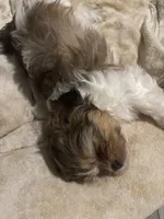 processed/e700e417-4617-4857-9292-727b02f92aa7/listing/8133dfb0-e744-49dd-9648-3c609477282a/4c40a1c0-9229-483a-9803-612f519b21af