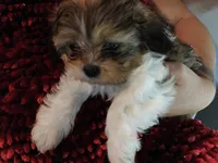 processed/e700e417-4617-4857-9292-727b02f92aa7/listing/8133dfb0-e744-49dd-9648-3c609477282a/8454424c-78b7-4623-8edd-5d03e3390428