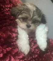 processed/e700e417-4617-4857-9292-727b02f92aa7/listing/8133dfb0-e744-49dd-9648-3c609477282a/a9702f39-0412-404a-bd81-5e495d338f05