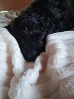 processed/e7069476-b246-407f-b92d-fa83ab775348/listing/e532d966-806e-4452-963e-933b4d4b2beb/612c2151-4e36-4841-9ca3-23763294276b