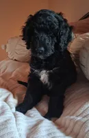 processed/e7069476-b246-407f-b92d-fa83ab775348/listing/e532d966-806e-4452-963e-933b4d4b2beb/de2b1ae5-33d5-4dcc-9190-e1e3f6bc9d77