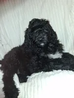 processed/e7069476-b246-407f-b92d-fa83ab775348/listing/e532d966-806e-4452-963e-933b4d4b2beb/f4c675ff-5dd4-4caa-a3fc-dec990eb40ea