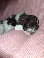 processed/e7069476-b246-407f-b92d-fa83ab775348/listing/f465f001-885a-44ea-a365-8a1f6e62b179/980f34b9-77d4-45df-a865-0ee0de293fb7