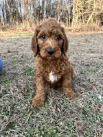 processed/e70a1fad-242c-4c07-83cf-3765a0e7502a/listing/56bc82dc-6b66-40cc-b88c-a996daf453f4/336f656d-afac-4a22-9dff-73d794dc10c9