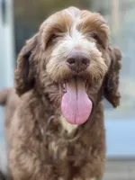 processed/e70a1fad-242c-4c07-83cf-3765a0e7502a/listing/56bc82dc-6b66-40cc-b88c-a996daf453f4/453f393d-0a8f-4481-a0d7-84814fea7539