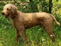 processed/e70a1fad-242c-4c07-83cf-3765a0e7502a/listing/56bc82dc-6b66-40cc-b88c-a996daf453f4/a8dec811-e7c2-4552-864a-6b30cf812acc