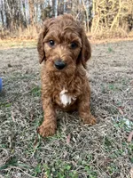 processed/e70a1fad-242c-4c07-83cf-3765a0e7502a/listing/56bc82dc-6b66-40cc-b88c-a996daf453f4/c9a2867c-45c9-4894-880b-3c85d1ac82b2