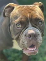 processed/e70a1fad-242c-4c07-83cf-3765a0e7502a/listing/79f70812-e7c3-4de1-9c33-05cf1889a191/77e2eec7-f862-4080-ab90-bf7c52fec604