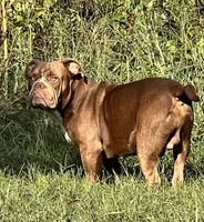 processed/e70a1fad-242c-4c07-83cf-3765a0e7502a/listing/79f70812-e7c3-4de1-9c33-05cf1889a191/ad3cd7d9-344f-4f35-a910-cca201e6e550