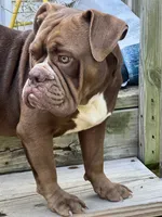 processed/e70a1fad-242c-4c07-83cf-3765a0e7502a/listing/79f70812-e7c3-4de1-9c33-05cf1889a191/c68412d5-e701-4b7c-b678-6abb5d0f009f