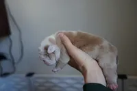 processed/e7186a6f-c8b2-42d5-a28a-9b3b01d39cc1/listing/03584639-4e30-4401-9f98-68844bb55831/4b144aee-d20c-4e7e-a70e-f4409fd31675