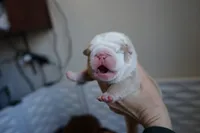 processed/e7186a6f-c8b2-42d5-a28a-9b3b01d39cc1/listing/03584639-4e30-4401-9f98-68844bb55831/a834997c-a238-4f84-9b4d-42a05af2f012