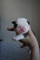 processed/e7186a6f-c8b2-42d5-a28a-9b3b01d39cc1/listing/203d109d-e140-4209-987c-f850a2d69394/840ff22b-63d3-4941-9526-26af2a3ce78f