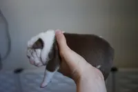 processed/e7186a6f-c8b2-42d5-a28a-9b3b01d39cc1/listing/203d109d-e140-4209-987c-f850a2d69394/b9dd3ef1-a5e5-4541-8df7-635f3d4a91dd