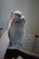 processed/e7186a6f-c8b2-42d5-a28a-9b3b01d39cc1/listing/7b9efaa0-c9bc-451b-adc1-e28b13b76a4b/637b3a3b-4afa-4636-bbc7-0faf3426338a