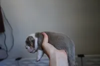 processed/e7186a6f-c8b2-42d5-a28a-9b3b01d39cc1/listing/7b9efaa0-c9bc-451b-adc1-e28b13b76a4b/79acbe2f-4987-4d76-a2ca-1945f32ff559