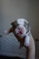 processed/e7186a6f-c8b2-42d5-a28a-9b3b01d39cc1/listing/7b9efaa0-c9bc-451b-adc1-e28b13b76a4b/fc163bde-0ebe-49c9-85a3-93418e652c66