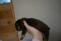 processed/e7186a6f-c8b2-42d5-a28a-9b3b01d39cc1/listing/a73370b5-671d-4d6b-9a9b-afc8aac770a3/3fda5593-2413-4516-8f19-bcfe378e57e4