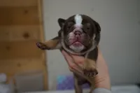 processed/e7186a6f-c8b2-42d5-a28a-9b3b01d39cc1/listing/a73370b5-671d-4d6b-9a9b-afc8aac770a3/a10d5ab3-7a63-4a92-8da7-db62c0505a67