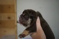 processed/e7186a6f-c8b2-42d5-a28a-9b3b01d39cc1/listing/a73370b5-671d-4d6b-9a9b-afc8aac770a3/def63dcd-39e6-4367-9270-f72ef0e45968