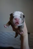 processed/e7186a6f-c8b2-42d5-a28a-9b3b01d39cc1/listing/ffcf9f66-f39c-4a2d-9bcb-783e7aa1c993/599230da-d542-4f83-854d-f7dc0a1455dc