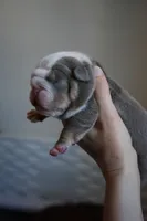 processed/e7186a6f-c8b2-42d5-a28a-9b3b01d39cc1/listing/ffcf9f66-f39c-4a2d-9bcb-783e7aa1c993/d582984b-c2b6-467a-93bb-c236a1c11b1c