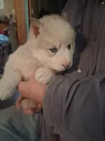 processed/e71c543e-9d62-45b6-8460-462b143e3c7d/listing/5c66470b-db5f-4a7a-be5e-6dbaba955a69/1a6aa055-57be-4e95-8581-5e52fe24c031