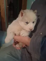 processed/e71c543e-9d62-45b6-8460-462b143e3c7d/listing/5c66470b-db5f-4a7a-be5e-6dbaba955a69/3d1eb352-8473-49cb-997b-22dc4086573c