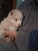 processed/e71c543e-9d62-45b6-8460-462b143e3c7d/listing/5c66470b-db5f-4a7a-be5e-6dbaba955a69/438f44b2-0f05-4bcc-8faf-69a39c24ccf4