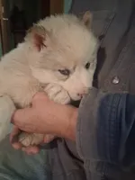 processed/e71c543e-9d62-45b6-8460-462b143e3c7d/listing/5c66470b-db5f-4a7a-be5e-6dbaba955a69/8c407b81-2717-4c90-9cf8-444991a698b2