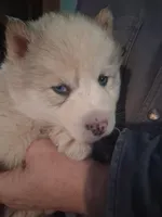 processed/e71c543e-9d62-45b6-8460-462b143e3c7d/listing/5c66470b-db5f-4a7a-be5e-6dbaba955a69/d5129fb6-633d-41a0-8174-5eaf0e5a6930