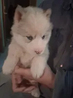 processed/e71c543e-9d62-45b6-8460-462b143e3c7d/listing/5c66470b-db5f-4a7a-be5e-6dbaba955a69/d8a60dc5-8e43-4ec2-b5be-3890830aee6c