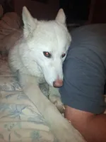 processed/e71c543e-9d62-45b6-8460-462b143e3c7d/listing/680ad093-acc5-47a7-a767-f34cdc34e320/5499a8af-dbf8-44c3-8f60-42a6ce85192a