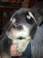 processed/e71c543e-9d62-45b6-8460-462b143e3c7d/listing/abd837a2-d438-41da-9faf-240d5c0f8f7e/cabd387f-ad30-4e7a-a499-74e19da42770