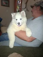 processed/e71c543e-9d62-45b6-8460-462b143e3c7d/listing/d0c76628-3a26-45a5-91d9-b411f256ba2b/2cadcbe9-5006-4380-ad27-5d27c849a39a