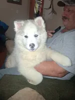 processed/e71c543e-9d62-45b6-8460-462b143e3c7d/listing/d0c76628-3a26-45a5-91d9-b411f256ba2b/719ebed7-440a-49a6-8ce9-87915ca3715f