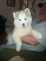 processed/e71c543e-9d62-45b6-8460-462b143e3c7d/listing/d0c76628-3a26-45a5-91d9-b411f256ba2b/851ec541-000d-4483-b122-9e87272c9b68