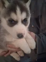 processed/e71c543e-9d62-45b6-8460-462b143e3c7d/listing/d745ec4d-60e0-4de8-b0d6-00efad25ade6/82504b8b-1ed2-4a3a-856f-7265badb8fc4