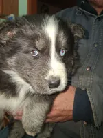 processed/e71c543e-9d62-45b6-8460-462b143e3c7d/listing/e07fccca-4f6f-49ba-bbd9-93be505e349f/0cbd2c8d-9f5b-405d-b611-5cd5fcbe964e