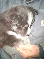 processed/e71c543e-9d62-45b6-8460-462b143e3c7d/listing/e07fccca-4f6f-49ba-bbd9-93be505e349f/a38ccc83-1616-49ff-ae8b-d646c0beeadf