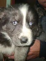 processed/e71c543e-9d62-45b6-8460-462b143e3c7d/listing/e07fccca-4f6f-49ba-bbd9-93be505e349f/c4711b2e-f09c-4e7c-8054-d89f5d8803f2