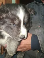 processed/e71c543e-9d62-45b6-8460-462b143e3c7d/listing/e16eceb1-524c-46a6-82d8-4d211ec9f94a/88517fcc-23bd-45ab-be71-3bf2eab6d65a